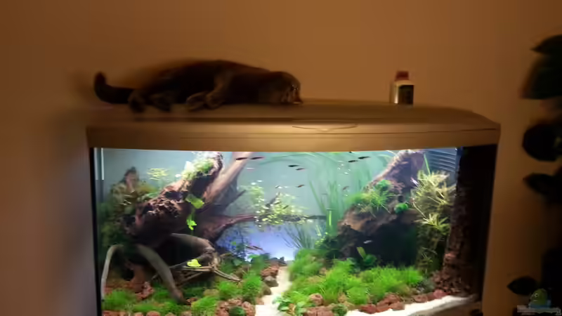 Userbild von GIDDI von GIDDI (22)