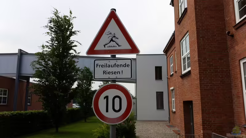 Userbild von Gigi von Gigi (33)