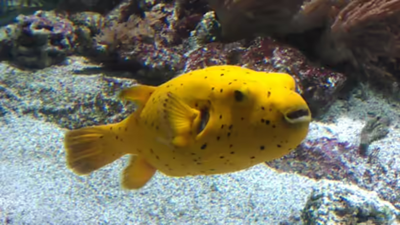 Userbild von Glyzerine von Glyzerine (30)