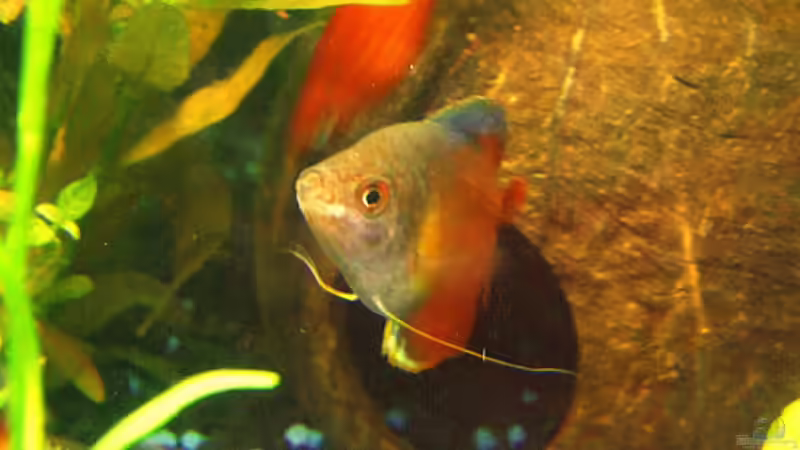 Userbild von Görkie von Görkie (2)