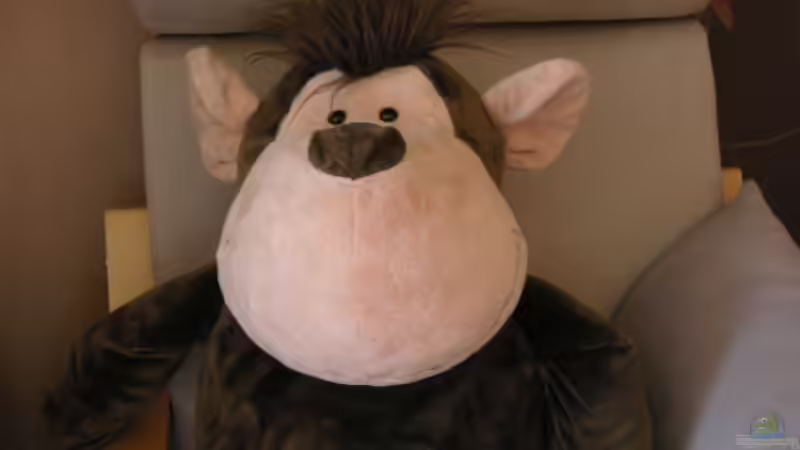 Userbild von gonzi von gonzi (21)