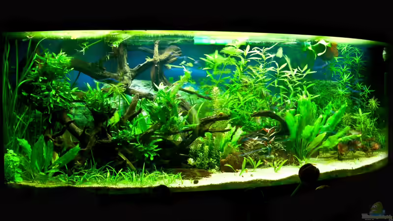 Userbild von gooral28 von gooral28 (13)