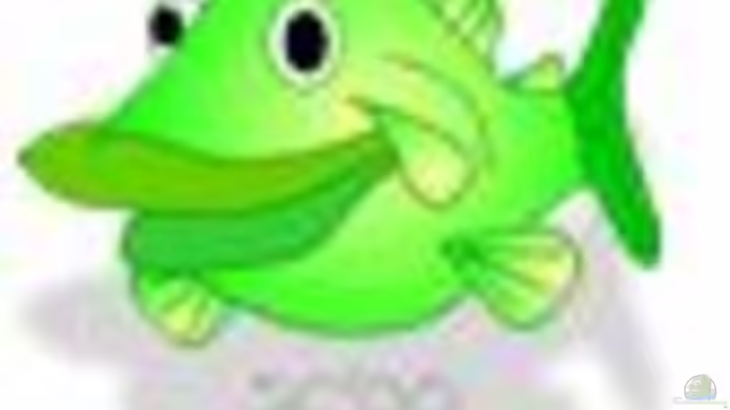 Userbild von gruenet von gruenet (11)