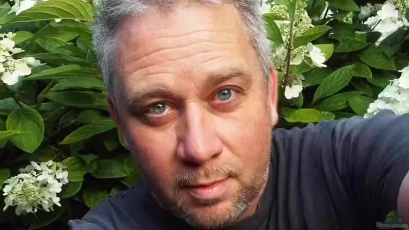 Userbild von Guido Studtrucker von Guido Studtrucker (53)