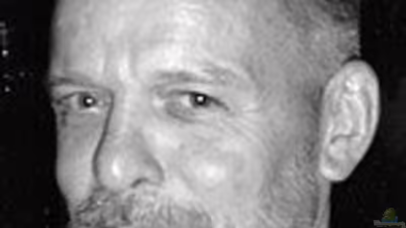 Userbild von Harald Charzinski von Harald Charzinski (22)