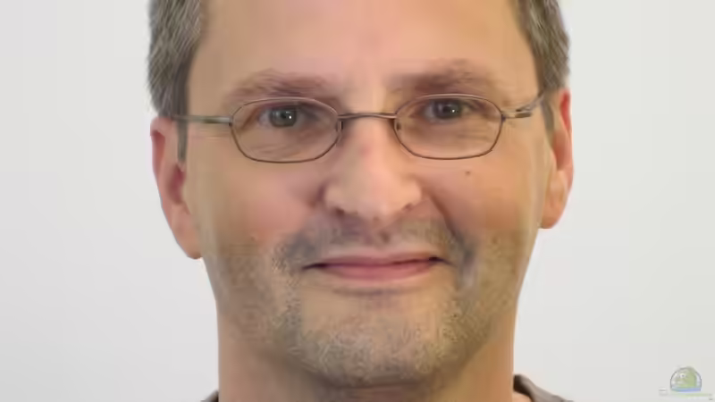 Userbild von Harald Götz von Harald Götz (69)