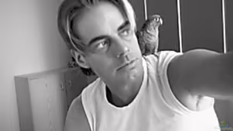 Userbild von Harry van Scherpenzeel von Harry van Scherpenzeel (9)