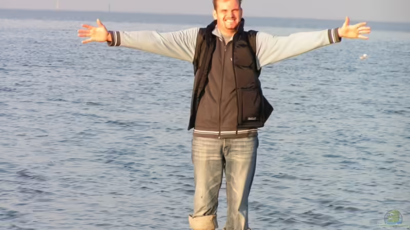 Userbild von Heiko Stracke von Heiko Stracke (82)