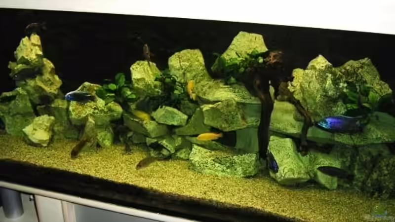 Userbild von Henning Sayer von Henning Sayer (7)