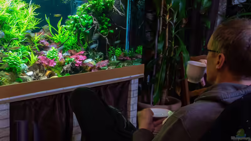 Userbild von Herr Lampe von Herr Lampe (96)