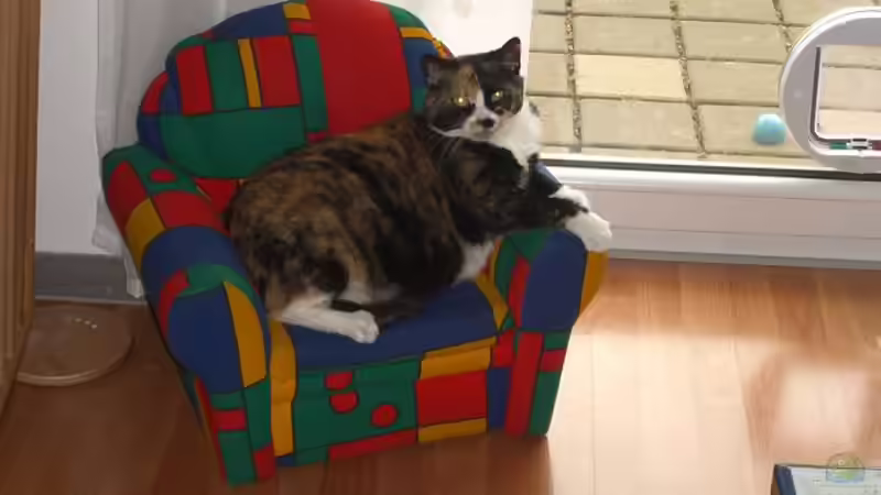 Userbild von Holger Baake von Holger Baake (15)