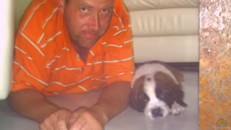 Userbild von Holger Freiwald von Holger Freiwald (24)