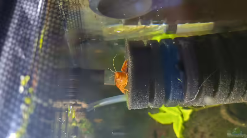 Userbild von HOTU von HOTU (17)