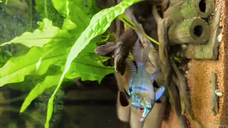 Userbild von HOTU von HOTU (32)