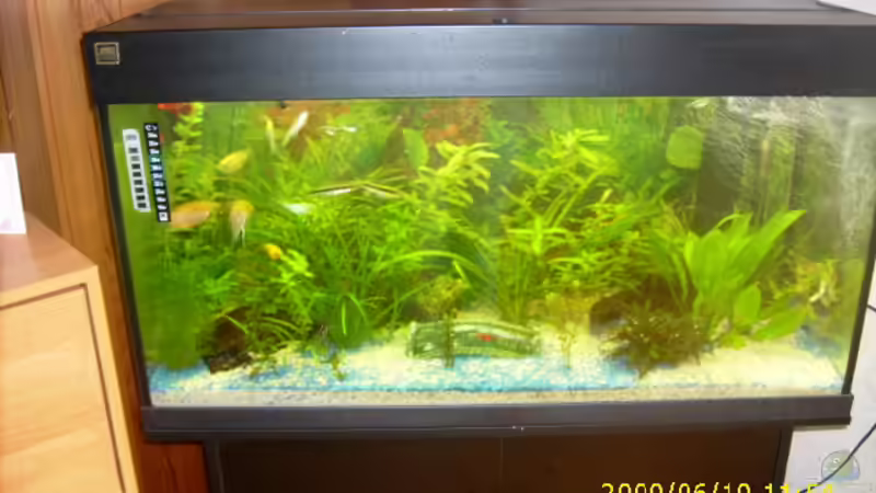 Userbild von Idar-Oberstein von Idar-Oberstein (5)