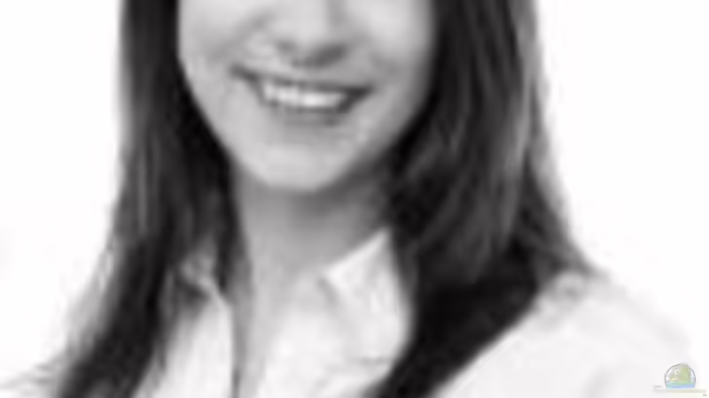 Userbild von Ifi von Ifi (2)