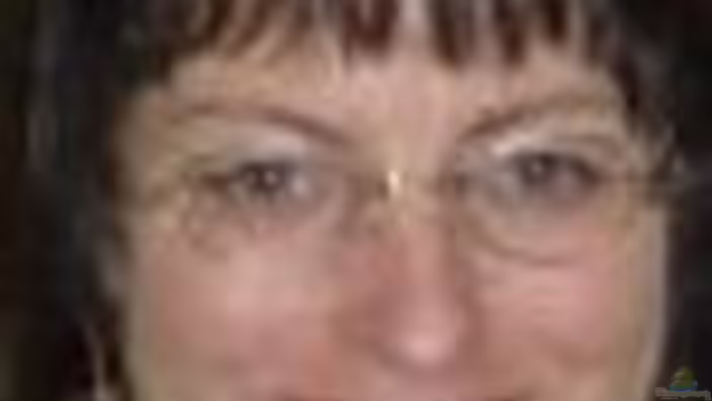 Userbild von Inge Zuber von Inge Zuber (26)