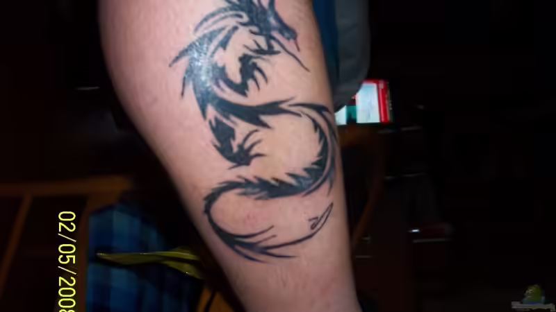 Userbild von Ingo Dahl von Ingo Dahl (20)