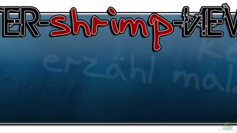 Userbild von Intershrimpview von Intershrimpview (89)