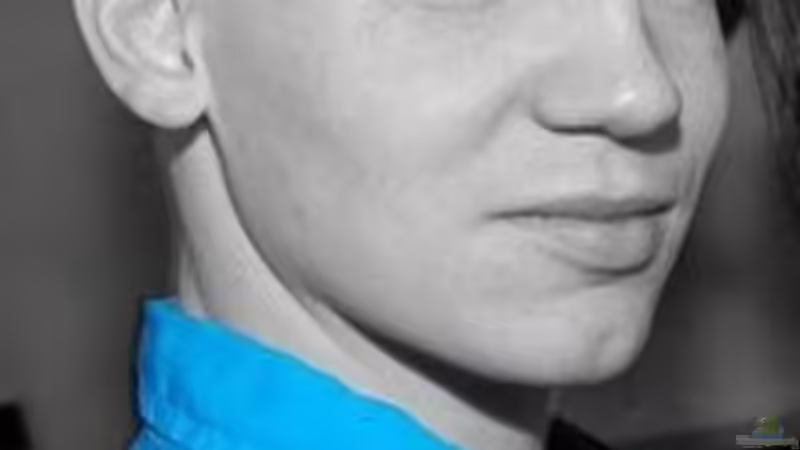 Userbild von invibe von invibe (3)