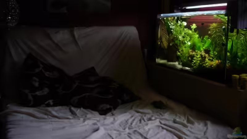 Userbild von iptila von iptila (26)