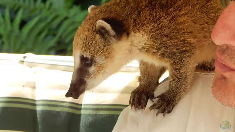 Userbild von ivi von ivi (34)