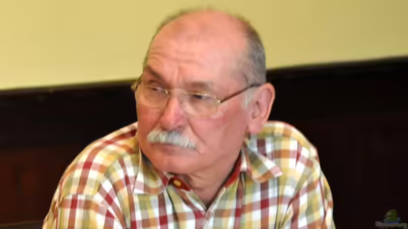 Userbild von Jago von Jago (5)