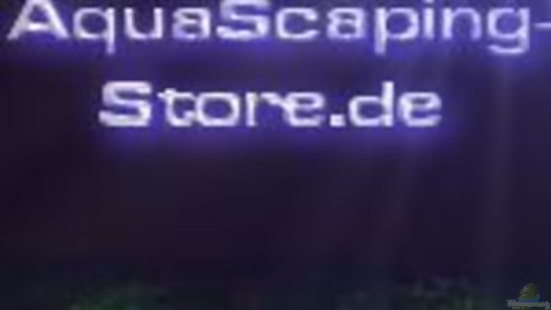 Userbild von Jaime von Jaime (4)