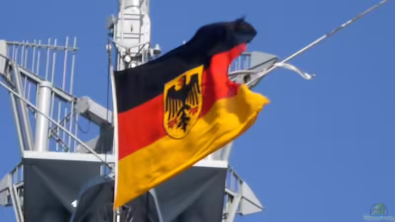 Userbild von Jan Neumann von Jan Neumann (4)