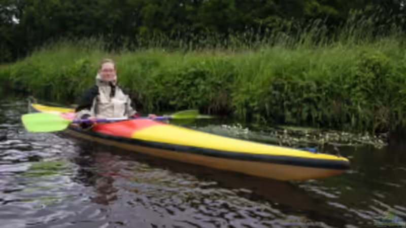 Userbild von Janita Webeler von Janita Webeler (12)