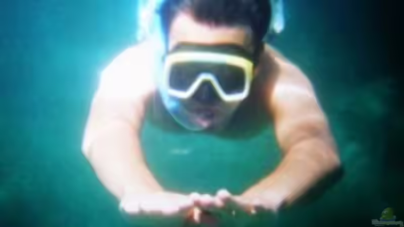 Userbild von jankov von jankov (37)