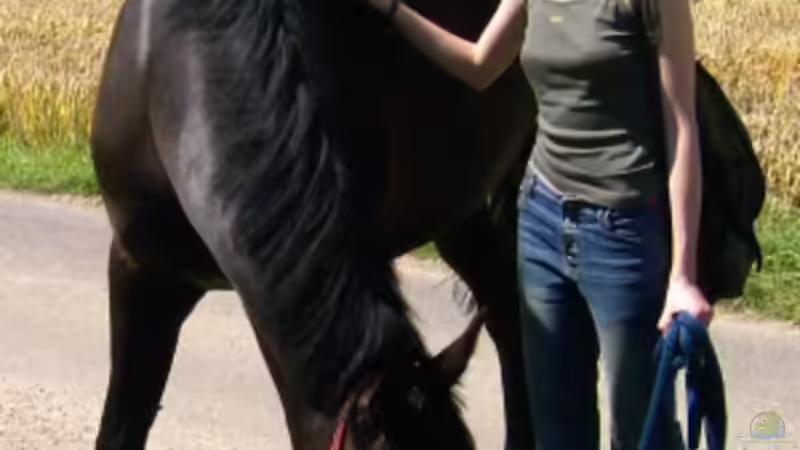 Userbild von Jenny von Jenny (24)