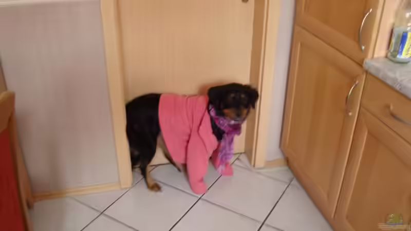 Userbild von Jens Gebers von Jens Gebers (20)