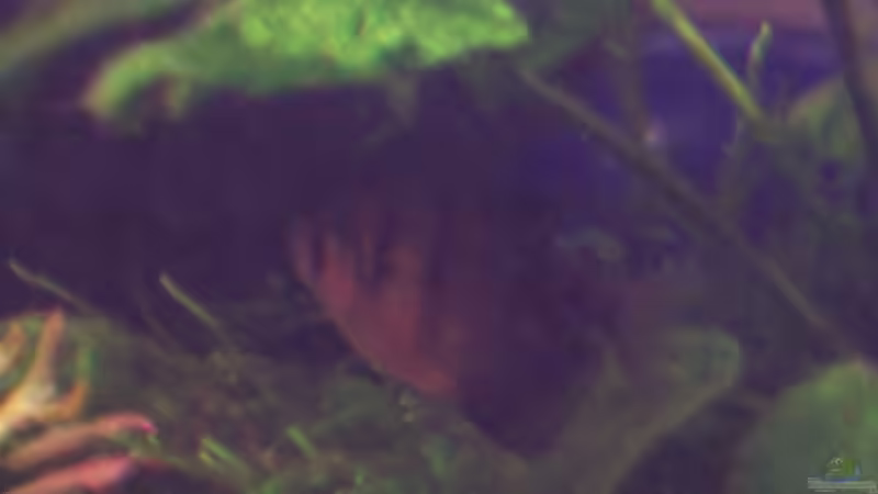 Userbild von Jens J. von Jens J. (36)