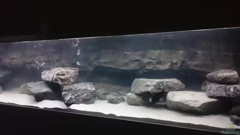 Userbild von Jens Teichert von Jens Teichert (7)