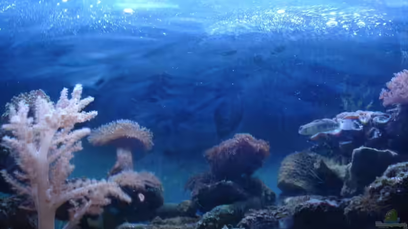 Userbild von Jochen Heinrichs von Jochen Heinrichs (30)