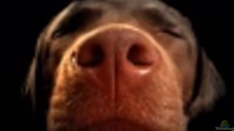 Userbild von Jörn Guntermann von Jörn Guntermann (11)