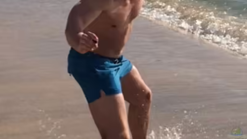 Userbild von Johannes L. von Johannes L. (59)