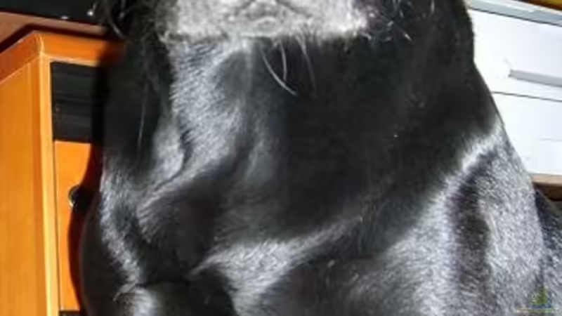 Userbild von Johannes von Johannes (11)