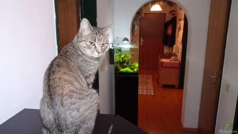 Userbild von Josef Braun von Josef Braun (34)