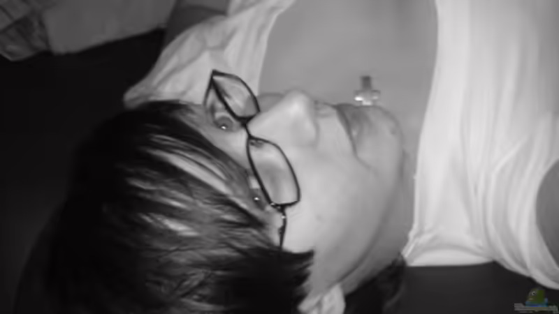 Userbild von julchen von julchen (15)