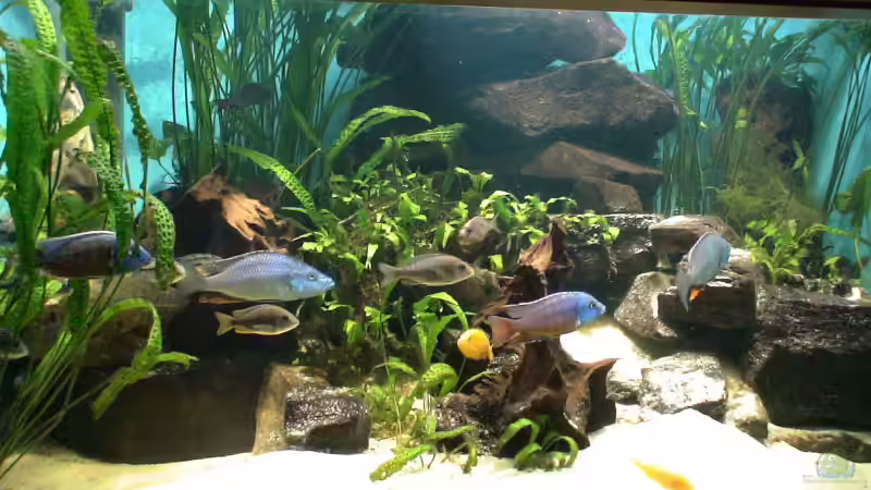 Userbild von Julianno47 von Julianno47 (4)