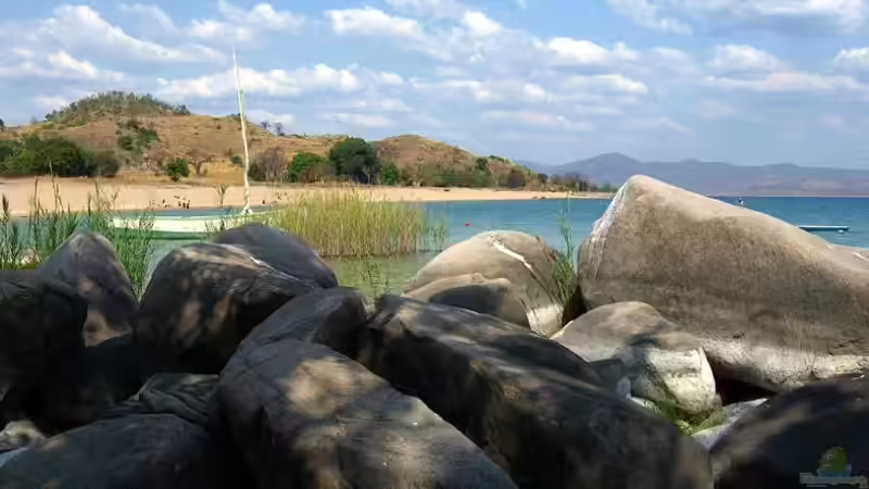 Userbild von Julie von Julie (14)