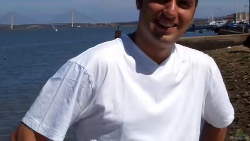 Userbild von Kai Verholen von Kai Verholen (17)