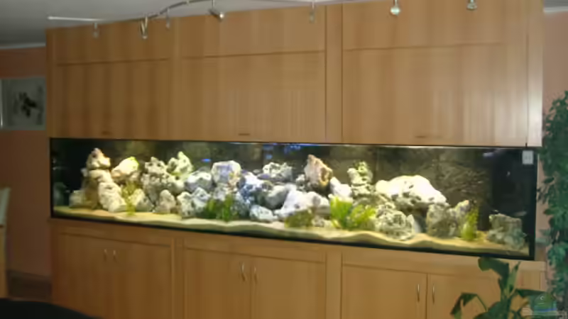 Userbild von Kai Wichert von Kai Wichert (9)