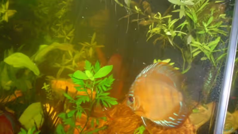 Userbild von Karl Englmeier von Karl Englmeier (2)