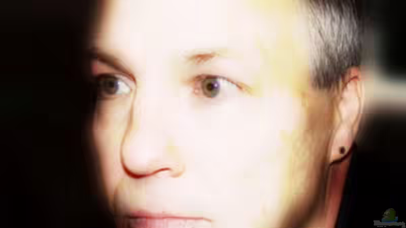 Userbild von Karl-Heinz Radtke von Karl-Heinz Radtke (2)