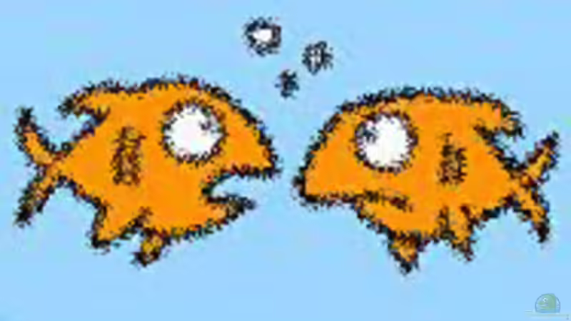 Userbild von KaSa von KaSa (6)