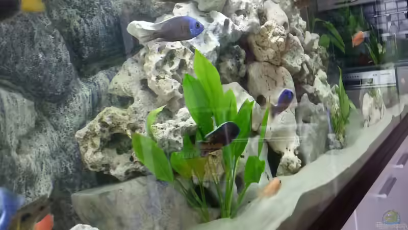 Userbild von KaZe von KaZe (30)