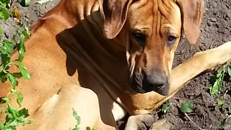 Userbild von kellerkind von kellerkind (58)